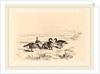 Oies bernacles, Swiss by Karl Bodmer