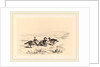 Oies bernacles, Swiss by Karl Bodmer