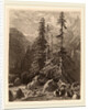 Essais de gravure à l'eau forte par Alexandre Calame, I, pl. 21 by Alexandre Calame