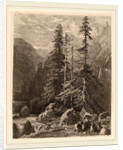 Essais de gravure à l'eau forte par Alexandre Calame, I, pl. 21 by Alexandre Calame