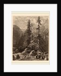 Essais de gravure à l'eau forte par Alexandre Calame, I, pl. 21 by Alexandre Calame