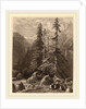 Essais de gravure à l'eau forte par Alexandre Calame, I, pl. 21 by Alexandre Calame