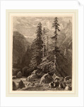 Essais de gravure à l'eau forte par Alexandre Calame, I, pl. 21 by Alexandre Calame