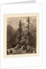 Essais de gravure à l'eau forte par Alexandre Calame, I, pl. 21 by Alexandre Calame