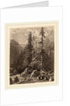 Essais de gravure à l'eau forte par Alexandre Calame, I, pl. 21 by Alexandre Calame