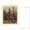 Essais de gravure à l'eau forte par Alexandre Calame, I, pl. 21 by Alexandre Calame