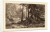 Essais de gravure à l'eau forte par Alexandre Calame, III, pl. 16 by Alexandre Calame