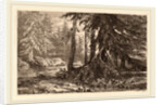 Essais de gravure à l'eau forte par Alexandre Calame, III, pl. 16 by Alexandre Calame