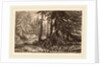 Essais de gravure à l'eau forte par Alexandre Calame, III, pl. 16 by Alexandre Calame
