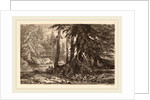 Essais de gravure à l'eau forte par Alexandre Calame, III, pl. 16 by Alexandre Calame