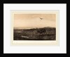Le Soir. Cerf et Herons, Swiss by Karl Bodmer