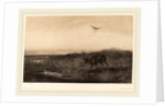 Le Soir. Cerf et Herons, Swiss by Karl Bodmer