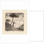 The Tourist by Emmanuel Phélippes-Beaulieu