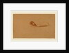 Study of a Scroll by Charles Sprague Pearce