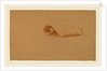 Study of a Scroll by Charles Sprague Pearce