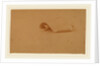 Study of a Scroll by Charles Sprague Pearce