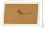 Study of a Scroll by Charles Sprague Pearce