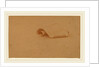 Study of a Scroll by Charles Sprague Pearce