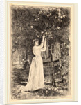 Untitled by Charles Yardley Turner