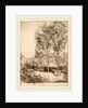 Sunlight and Shadows, No. 3, Canadian, 1913 by Donald Shaw MacLaughlan