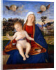 Madonna and Child by Vittore Carpaccio