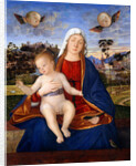 Madonna and Child by Vittore Carpaccio