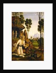 Saint Jerome in the Wilderness by Follower of Pietro Perugino