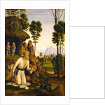 Saint Jerome in the Wilderness by Follower of Pietro Perugino