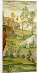 Procris and the Unicorn by Bernardino Luini