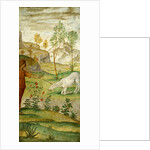 Procris and the Unicorn by Bernardino Luini