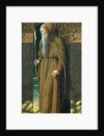 Saint Jerome by Francesco Benaglio