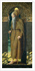 Saint Jerome by Francesco Benaglio