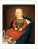Baby in Blue Cradle, c. 1840 by Anonymous