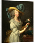 Marie-Antoinette, after 1783 by Anonymous