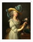 Marie-Antoinette, after 1783 by Anonymous