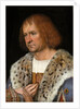 Portrait of Diego de Guevara by Michel Sittow