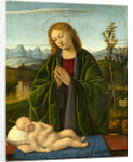 Italian, Madonna Adoring the Child, c. 1520 by Marco Basaiti