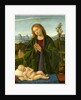 Italian, Madonna Adoring the Child, c. 1520 by Marco Basaiti