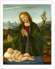 Italian, Madonna Adoring the Child, c. 1520 by Marco Basaiti
