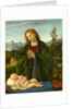 Italian, Madonna Adoring the Child, c. 1520 by Marco Basaiti