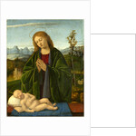 Italian, Madonna Adoring the Child, c. 1520 by Marco Basaiti