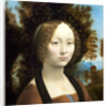 Italian, Ginevra de' Benci obverse by Leonardo da Vinci