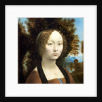 Italian, Ginevra de' Benci obverse by Leonardo da Vinci