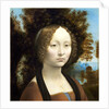 Italian, Ginevra de' Benci obverse by Leonardo da Vinci