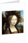Italian, Ginevra de' Benci obverse by Leonardo da Vinci