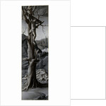 Saint Jerome Penitent left panel by Jan Gossaert