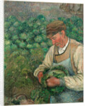 The Gardener-Old Peasant with Cabbage by Camille Pissarro