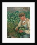 The Gardener-Old Peasant with Cabbage by Camille Pissarro