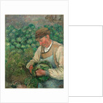The Gardener-Old Peasant with Cabbage by Camille Pissarro