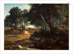 Forest of Fontainebleau, 1834 by Jean-Baptiste-Camille Corot